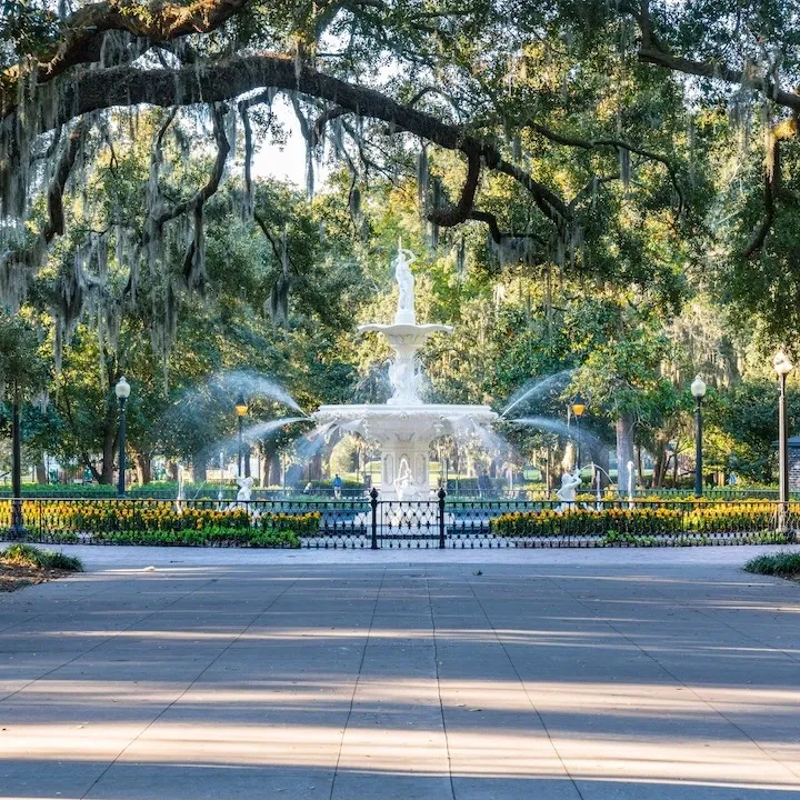 savannah