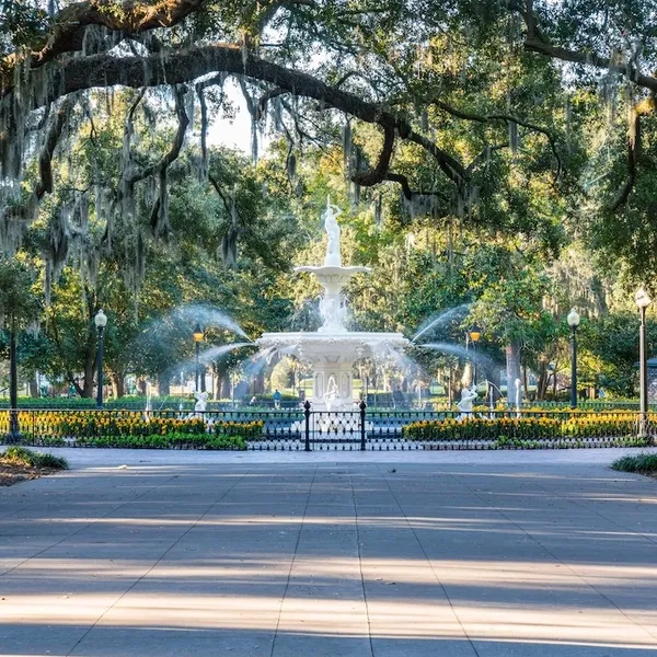 Savannah