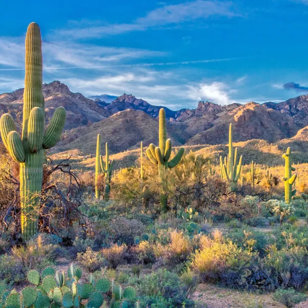 Scottsdale