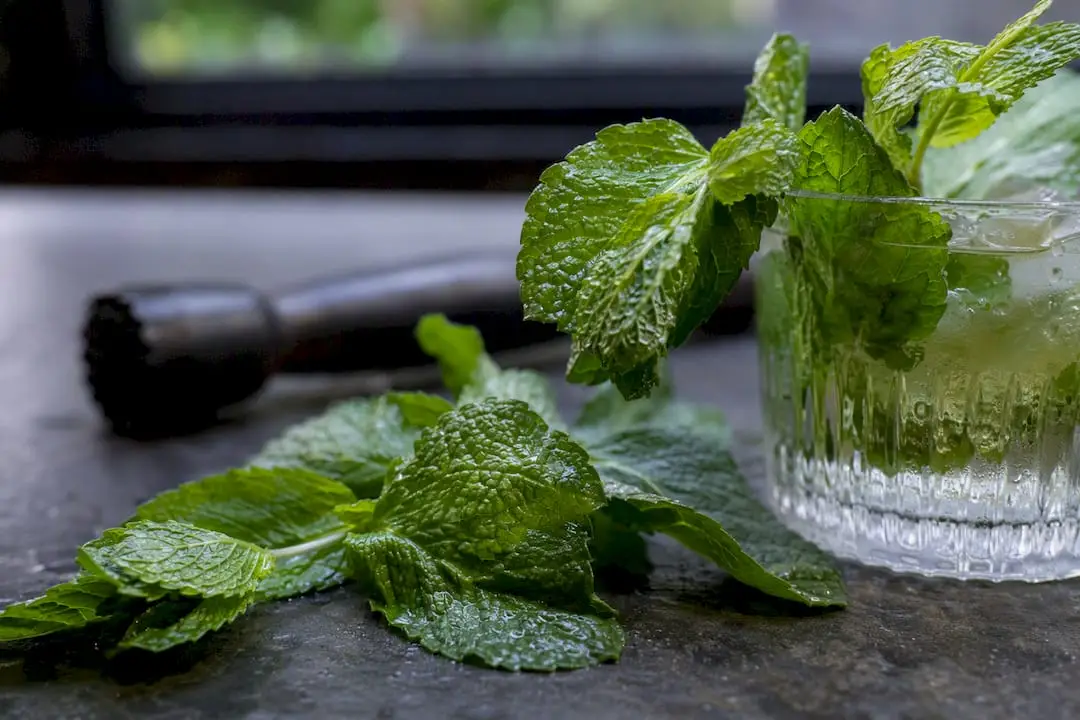 Fresh and bruised mint sprigs on bar